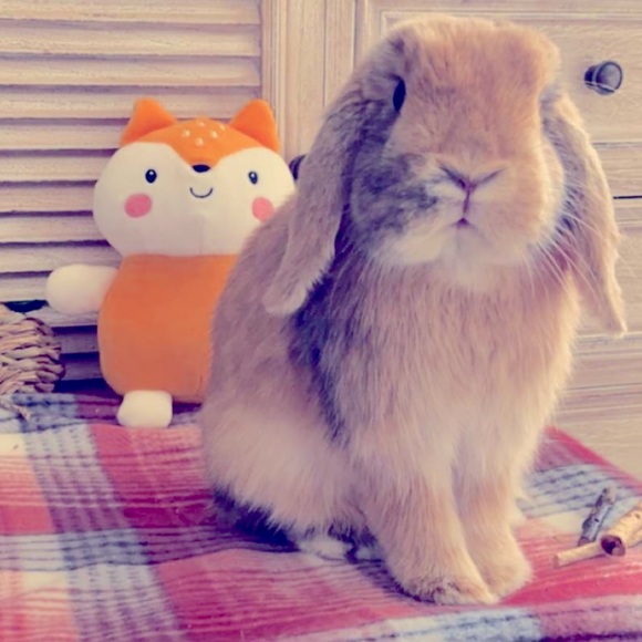 Meet your Posher, Jen - Picture 4 of 12